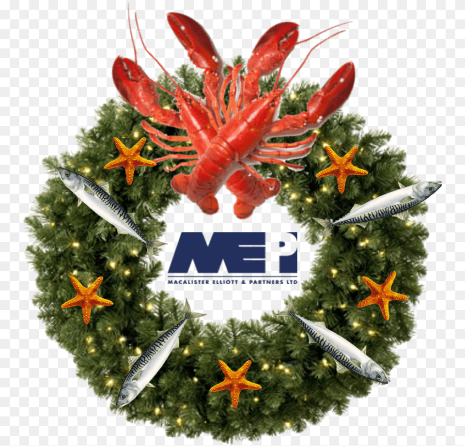 Christmas 2018 Wishes, Animal, Fish, Food, Invertebrate Free Png