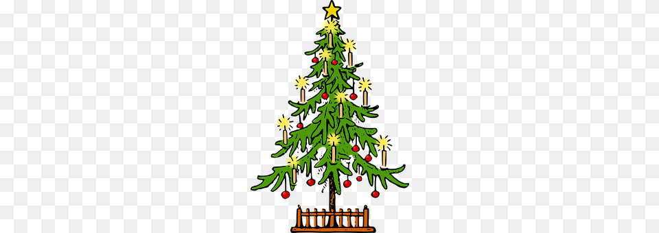 Christmas Tree, Plant, Christmas Decorations, Festival Free Transparent Png