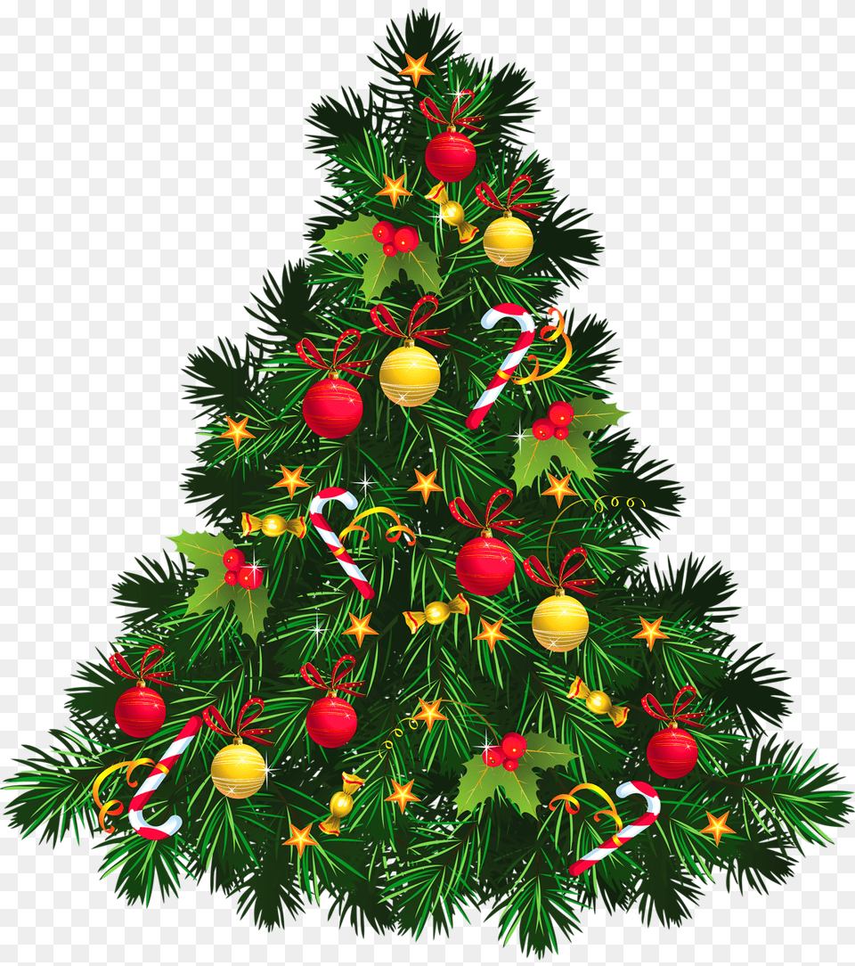 Christmas, Plant, Tree, Christmas Decorations, Festival Free Png Download