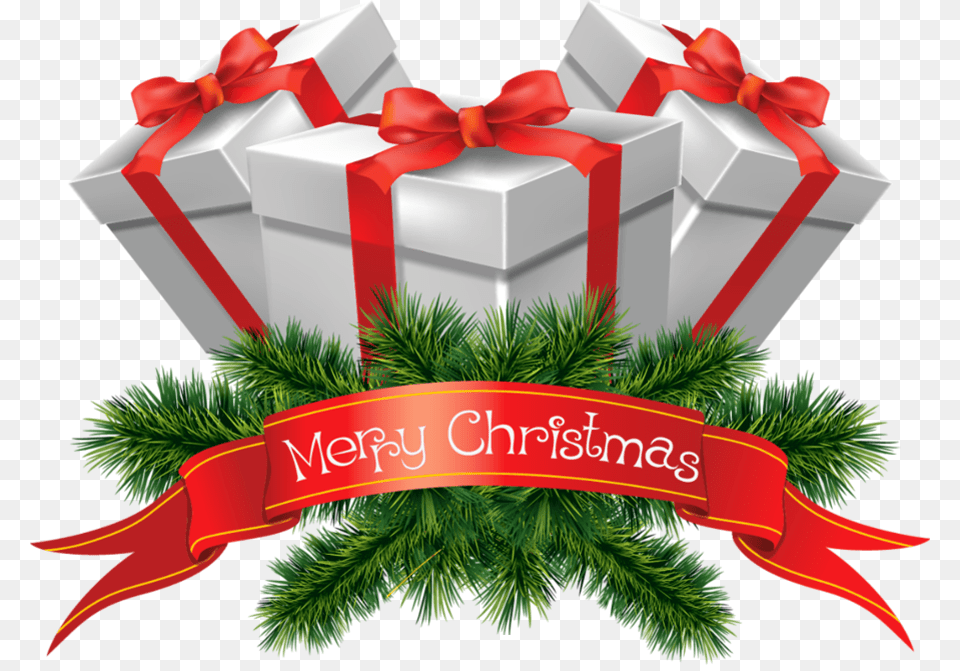 Christmas, Gift, Plant, Tree Free Png