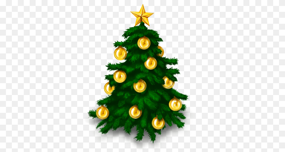 Christmas, Plant, Tree, Christmas Decorations, Festival Png Image