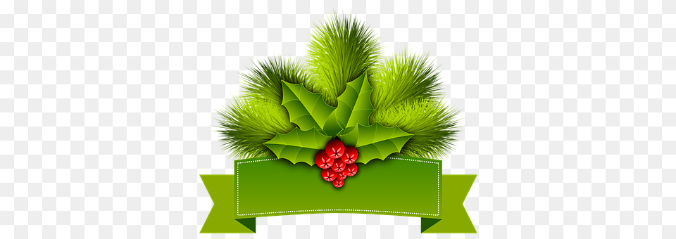 Christmas Leaf, Plant, Food, Fruit Free Transparent Png