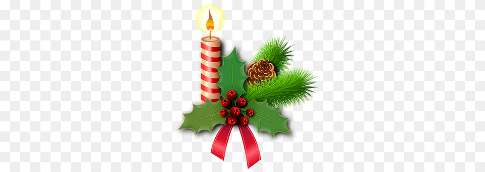 Christmas Dynamite, Weapon, Candle, Plant Free Transparent Png