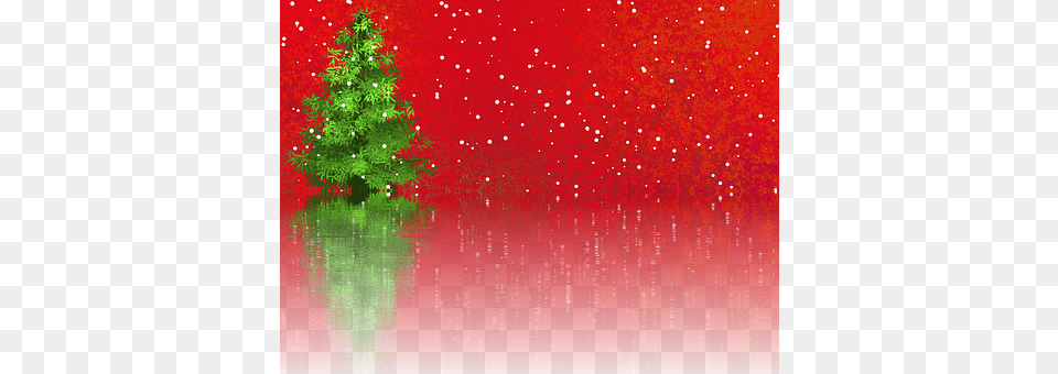 Christmas Plant, Tree, Christmas Decorations, Festival Free Png