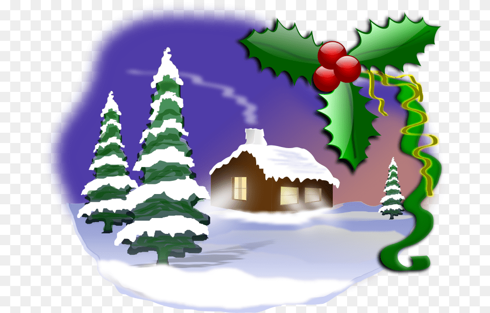 Christmas, Plant, Tree, Christmas Decorations, Festival Free Png