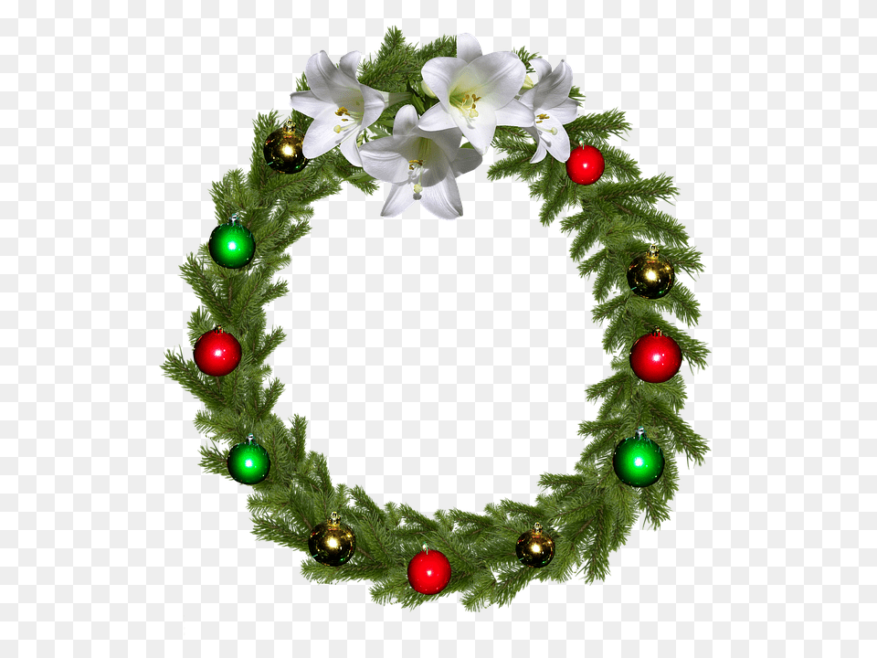 Christmas Plant, Wreath, Flower Free Png