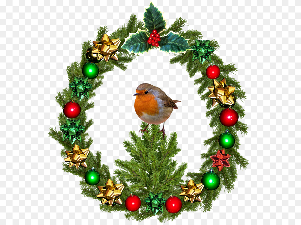 Christmas Animal, Bird, Wreath Png