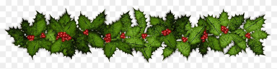 Christmas Conifer, Plant, Tree, Fern Free Transparent Png