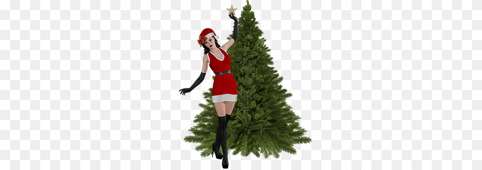 Christmas Tree, Plant, Adult, Person Free Png Download