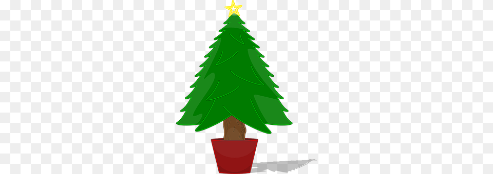 Christmas Plant, Tree, Christmas Decorations, Festival Free Png Download