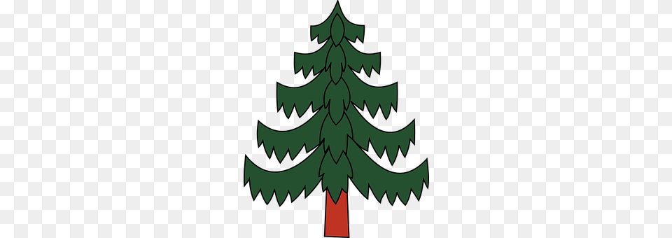 Christmas Plant, Tree, Fir, Conifer Png Image
