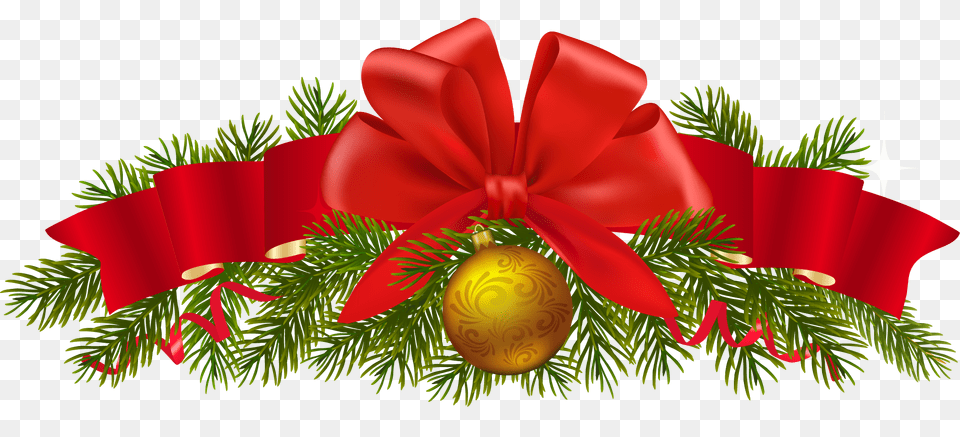 Christmas, Plant, Tree Png Image