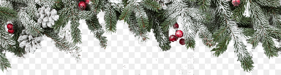 Christmas Background Transparent Transparent Christmas Crown Free Png