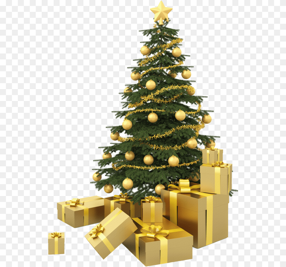 Christmas Background Tree Transparent Christmas Tree Clear Background, Plant, Christmas Decorations, Festival, Christmas Tree Png