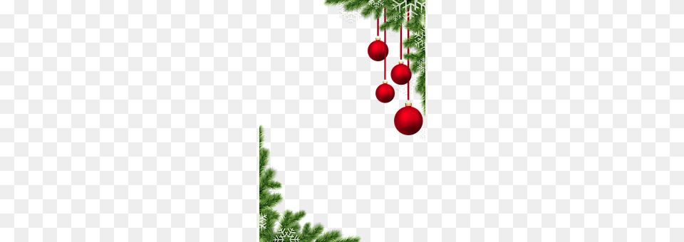 Christmas Baubles Plant, Tree, Accessories, Christmas Decorations Png Image