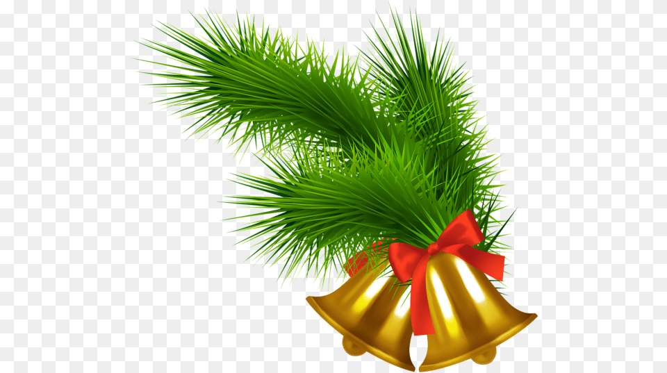Christmas Bell Grass, Plant, Potted Plant, Tree, Lighting Free Png Download