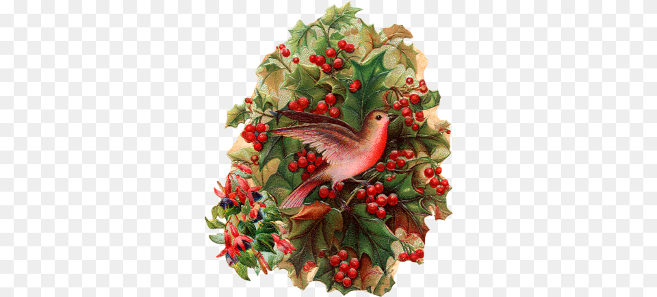 Christmas Bird Holly Berries Freetoedit Rose Hip, Leaf, Plant, Animal Png