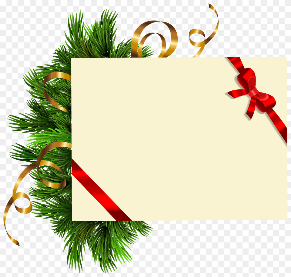 Christmas Blank With Pine Branches Clipart Gallery, Plant, Tree Png