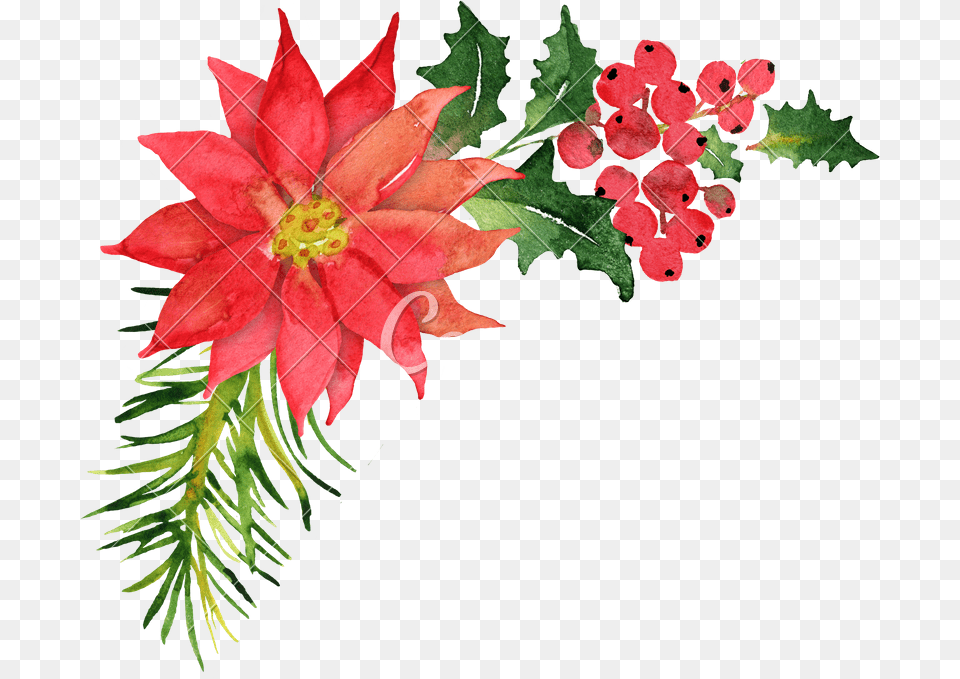 Christmas Bouquet With Poinsettia, Art, Petal, Pattern, Leaf Free Png