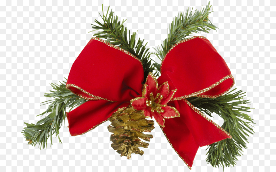 Christmas Bow Psd Official Psds Christmas Bow, Plant, Tree, Conifer, Accessories Free Png Download