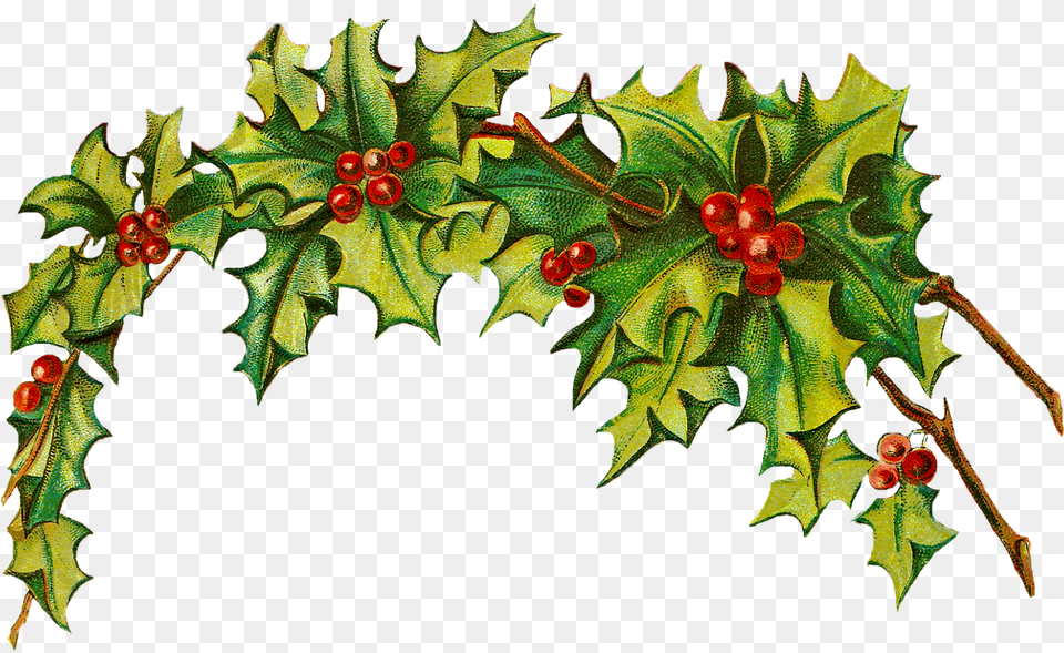 Christmas Bow Google Vintage Christmas Card Template, Leaf, Plant, Tree, Food Free Transparent Png