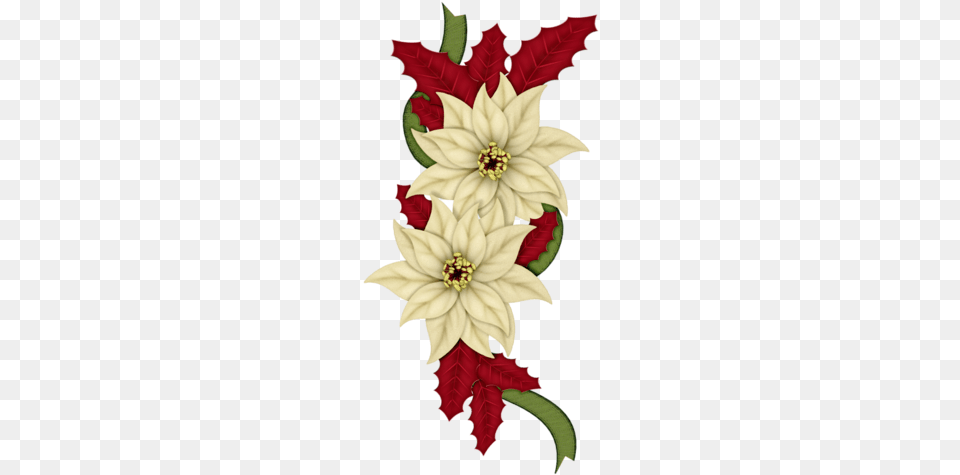 Christmas Bows Christmas Flowers Christmas Clipart Happy Holidays Christmas Holiday Poinsettia Card, Leaf, Graphics, Pattern, Floral Design Free Png Download