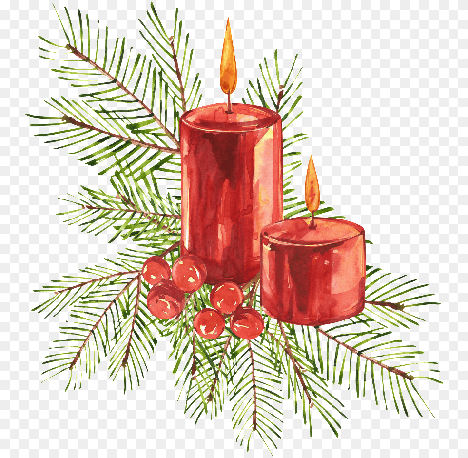 Christmas Candle Transparent Christmas Candle Watercolor, Plant, Tree Png