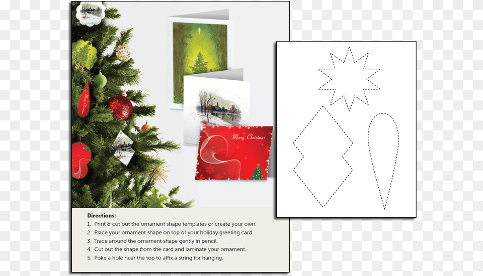 Christmas Card, Tree, Plant, Mail, Envelope Free Transparent Png