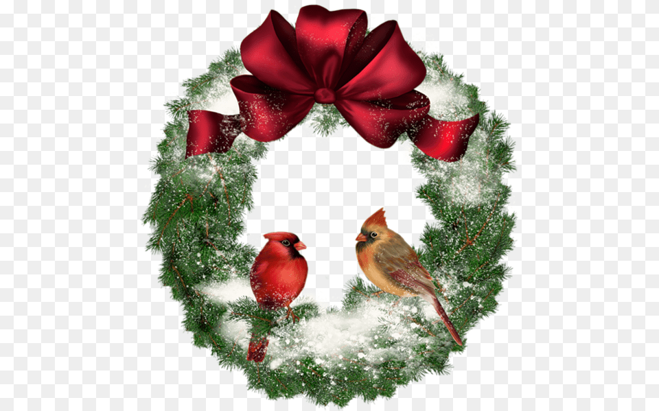 Christmas Cardinal Graphic Freeuse Christmas Wreath With Birds, Animal, Bird Free Png