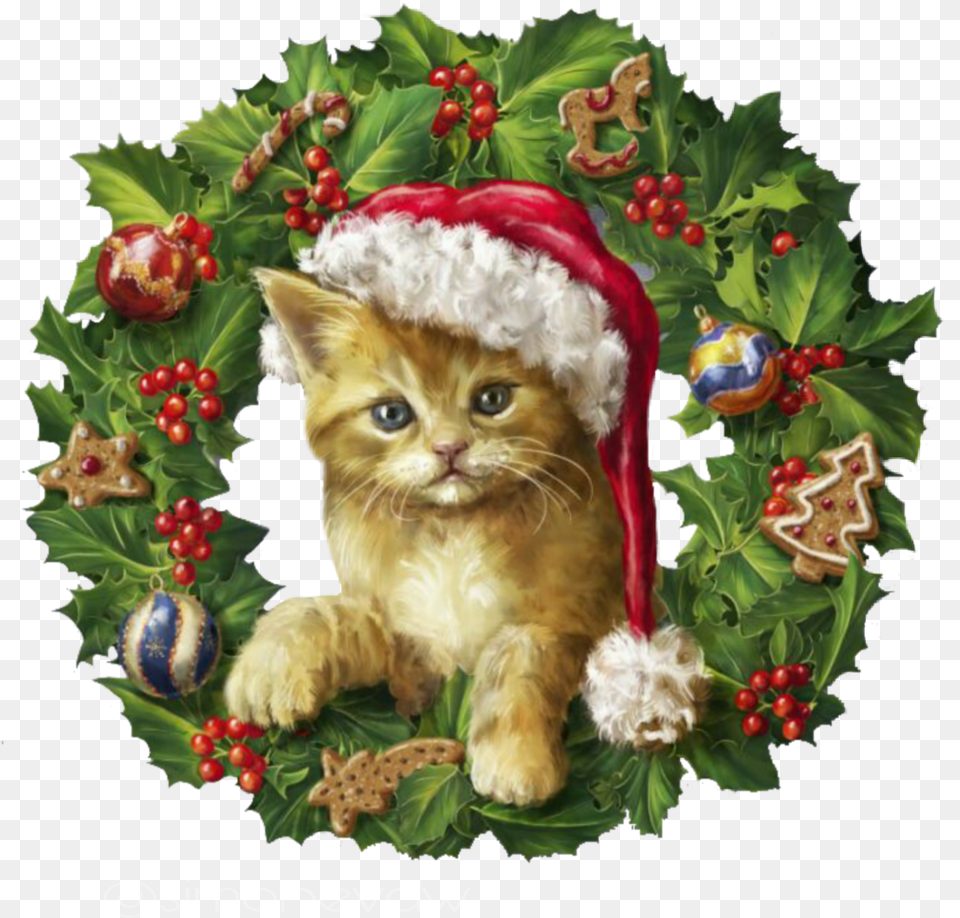 Christmas Cat Wreath Chat Couronne De Nol, Animal, Mammal, Pet, Kitten Free Png