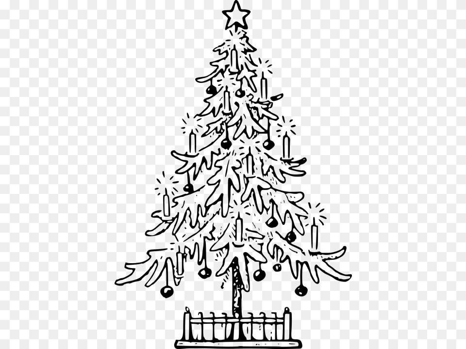 Christmas Christmas Tree Confer Fir Holiday Lutz Christmas Tree Drawing, Gray Png