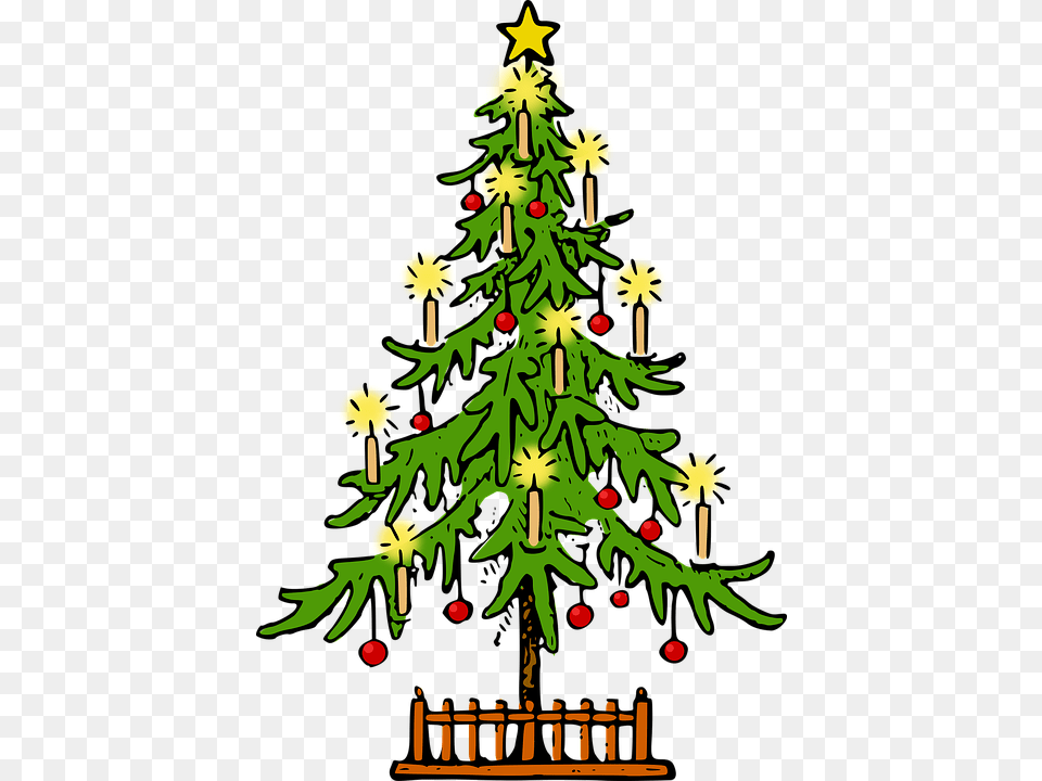 Christmas Christmas Tree Conifer Fir Holiday Lutz Christmas Tree Drawing, Plant, Christmas Decorations, Festival, Christmas Tree Png Image