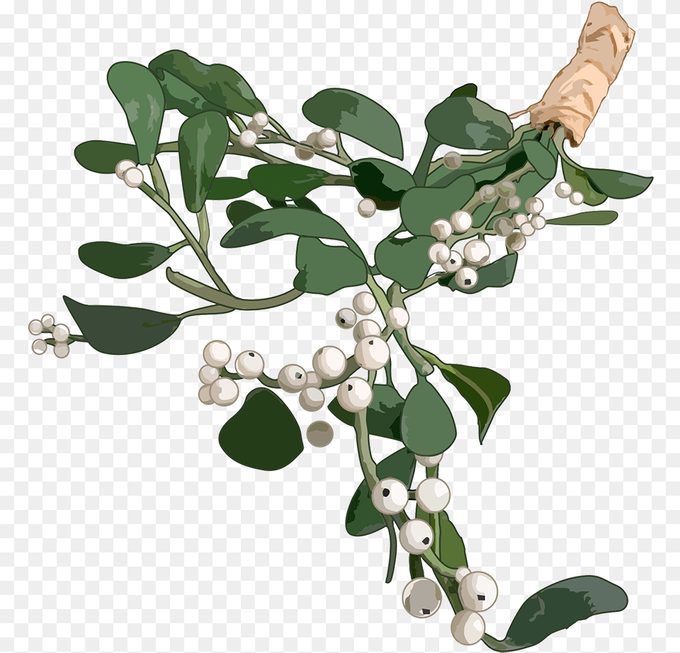 Christmas Clip Art Mistletoe, Leaf, Plant, Food, Fruit Free Transparent Png