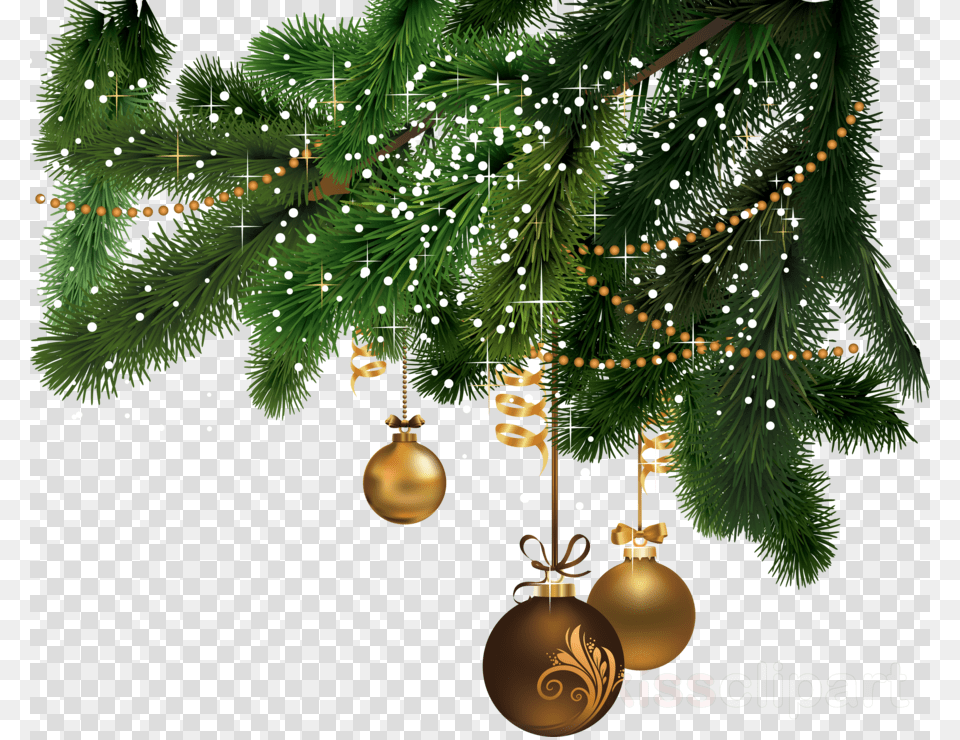 Christmas Clipart Christmas Day Christmas Tree Hd, Plant, Christmas Decorations, Festival, Perfume Free Png