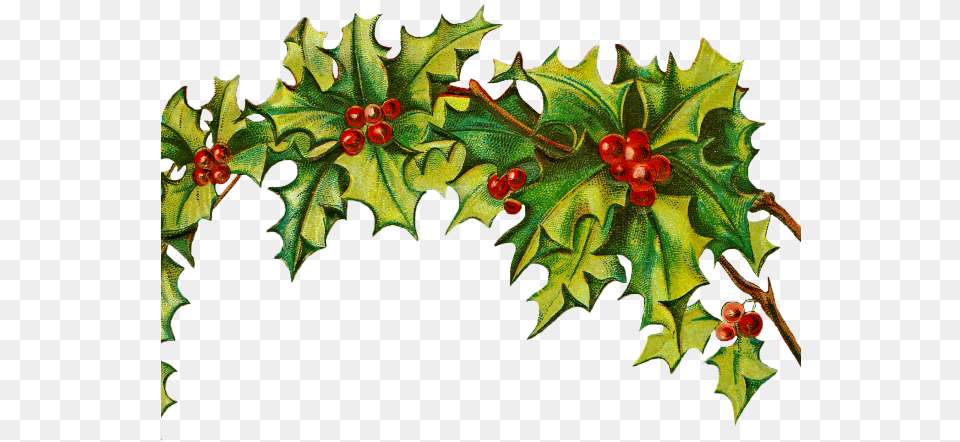 Christmas Clipart Clipart December Boe Narodzenie Grafika, Leaf, Plant, Tree, Food Png
