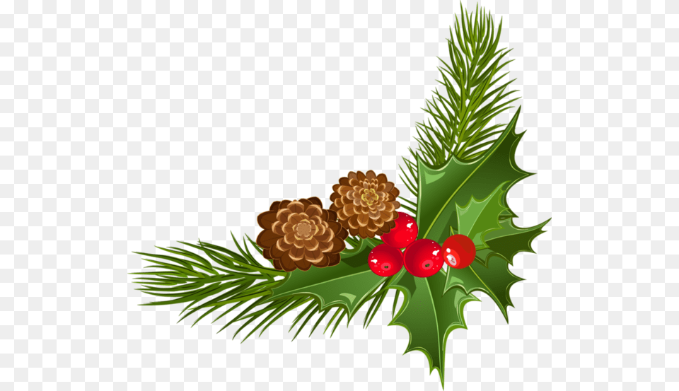 Christmas Clipart Corner, Conifer, Leaf, Plant, Tree Free Transparent Png