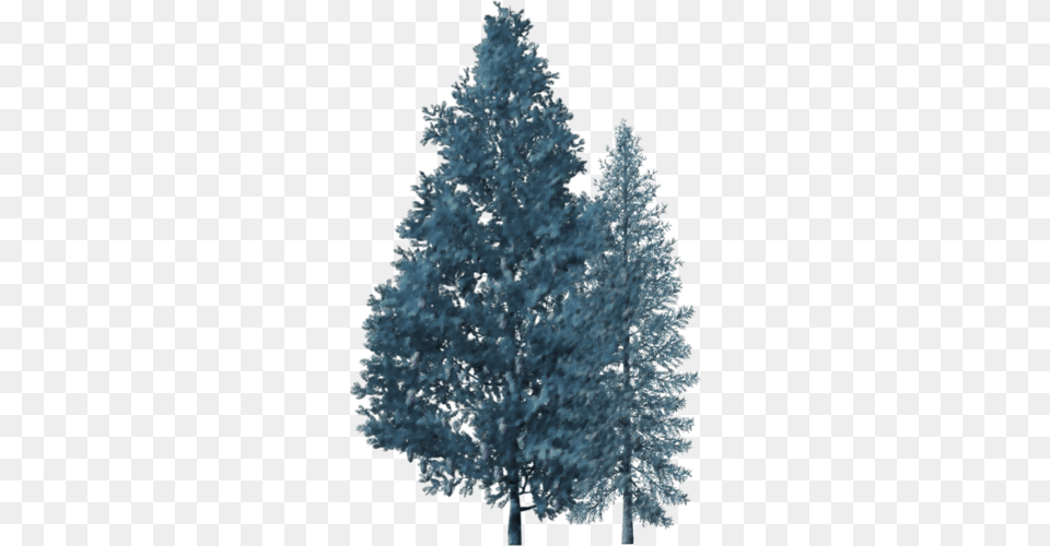 Christmas Clipart Tree, Fir, Plant, Pine Png Image