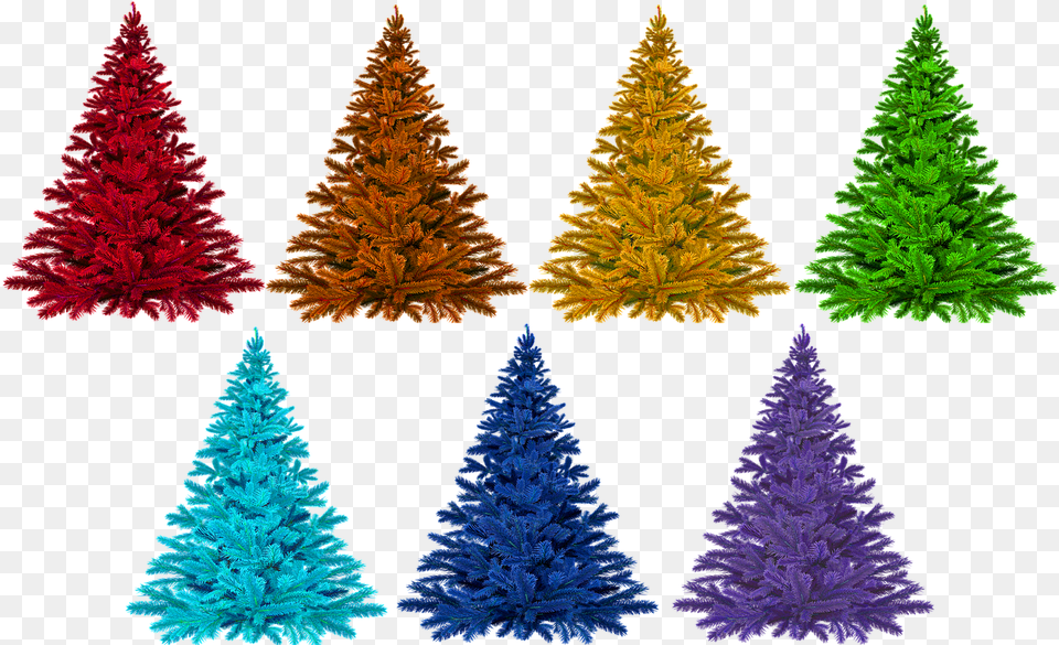 Christmas Colorful Rainbow Free Picture Christmas Day, Plant, Tree, Pine, Christmas Decorations Png Image