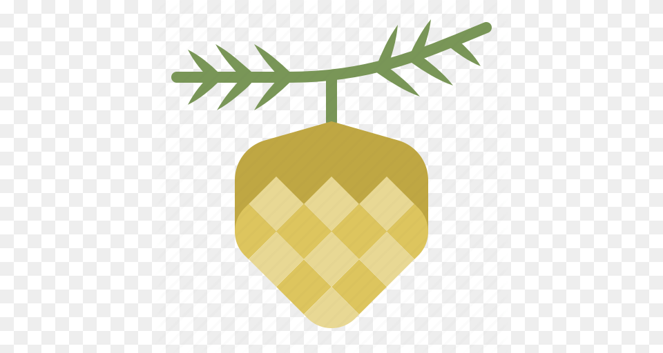 Christmas Conifer Cone Ornament Pinecone Xmas Icon, Plant, Potted Plant, Vase, Pottery Png