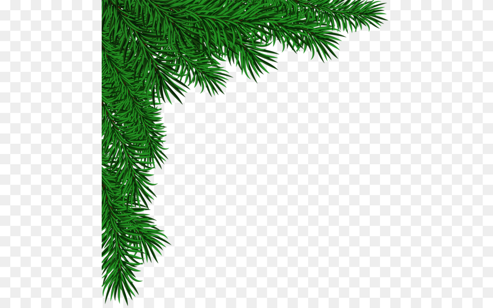 Christmas Corner Border Blue Corner Border Clipart Clipart, Conifer, Fir, Green, Pine Free Transparent Png