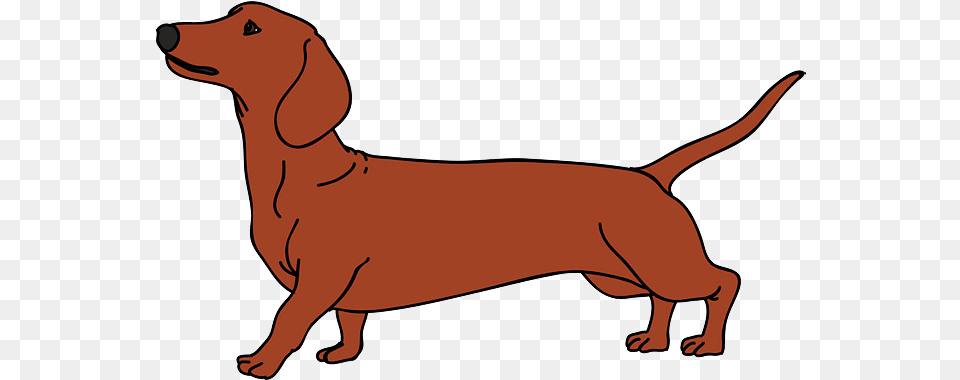 Christmas Dachshund Dog Vector Dachshund Clipart Transparent, Snout, Mammal, Animal, Canine Png