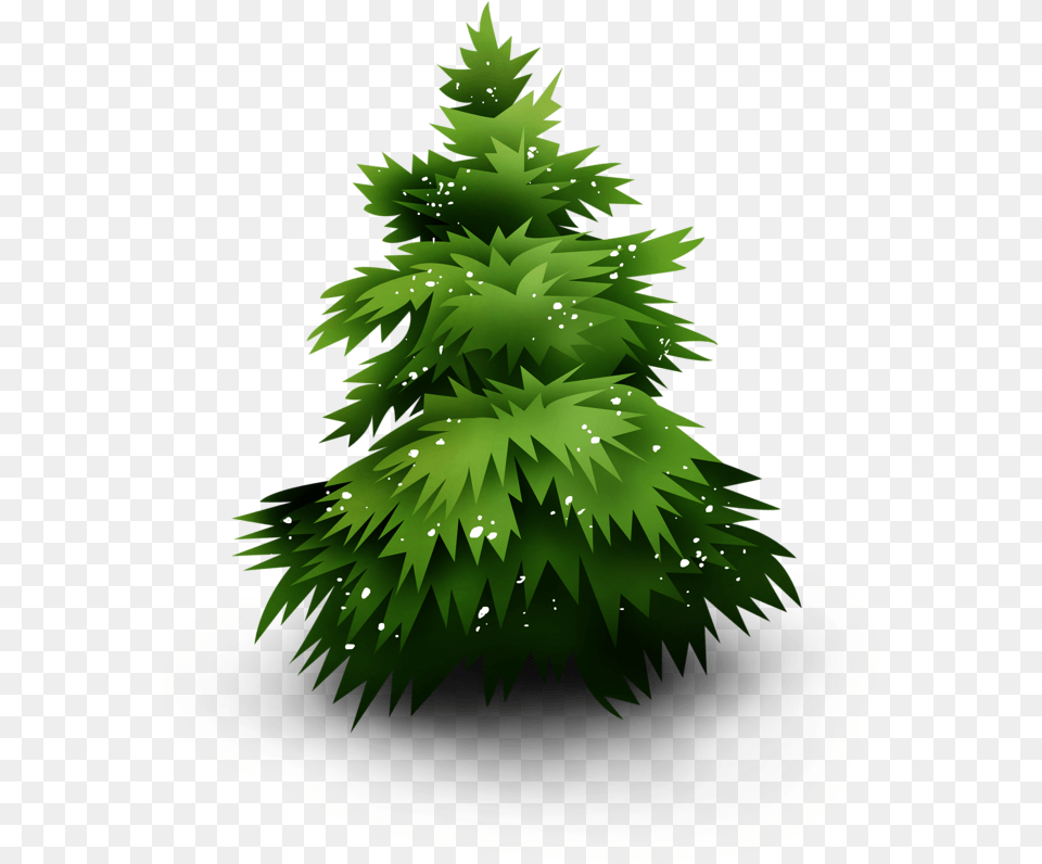 Christmas Day, Green, Plant, Tree, Fir Free Png