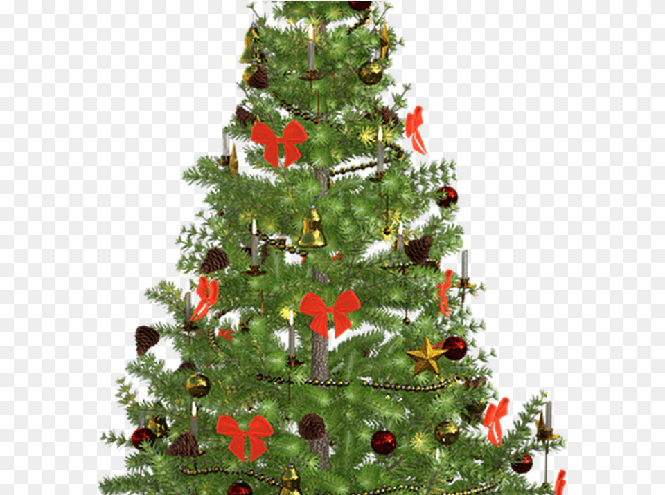 Christmas Day, Plant, Tree, Christmas Decorations, Festival Free Png Download