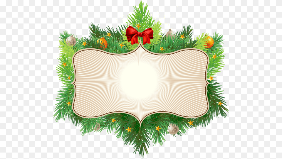 Christmas Day, Leaf, Plant, Outdoors Png