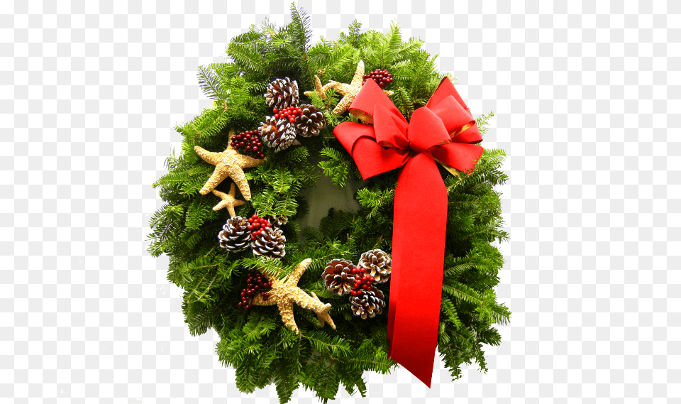 Christmas Day, Plant, Wreath Png