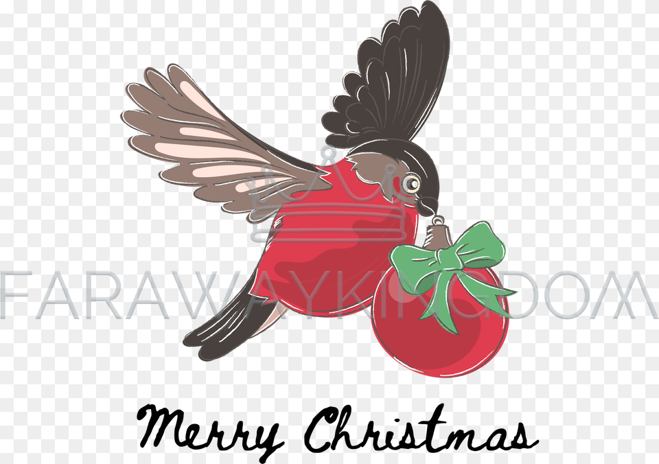 Christmas Day, Animal, Beak, Bird, Blackbird Free Png Download