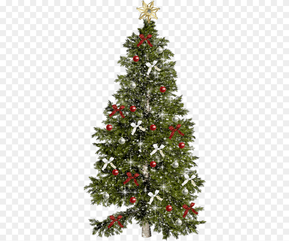 Christmas Day Tree Gif Portable Network Graphics Transparent Christmas Tree Gif, Plant, Christmas Decorations, Festival, Christmas Tree Png