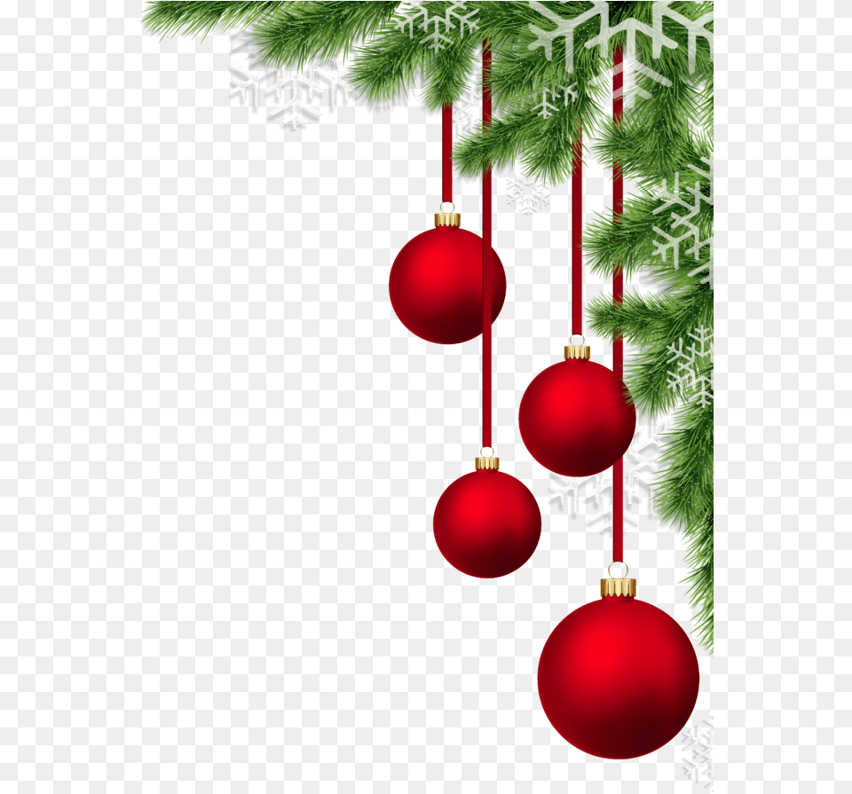 Christmas Decoration Elements Happy New Year 2019 France, Plant, Tree, Accessories, Christmas Decorations Free Transparent Png