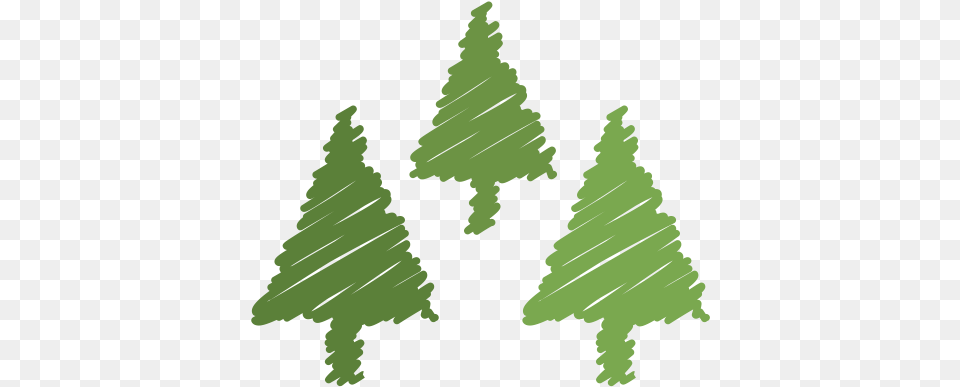 Christmas Decoration Holiday Ornaments Scribble Tree Christmas Tree, Green, Plant, Person, Leaf Free Transparent Png