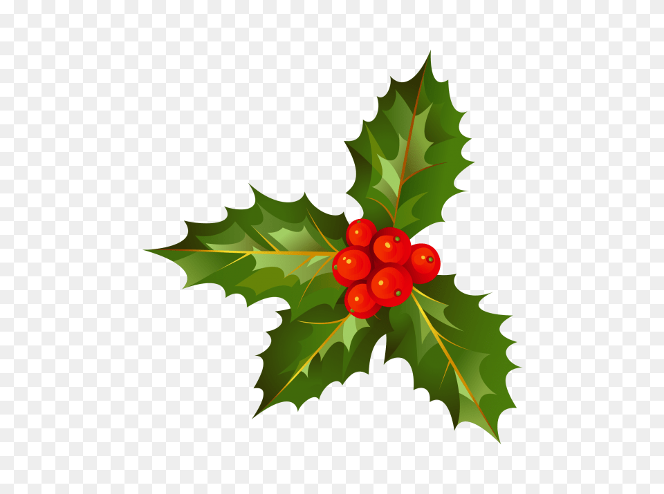 Christmas Decoration With Holly Leave Christmas Decorations Cartoon, Leaf, Plant, Food, Fruit Free Png